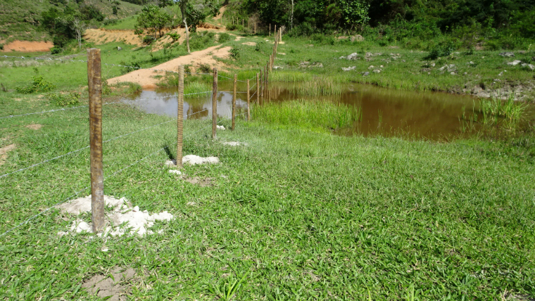 Protected spring at Fazenda Alto Pancas in Pancas (ES)