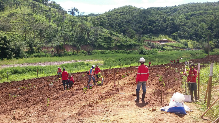 Uma área de amostragem com cerca de 10 hectares foi escolhida para testar a viabilidade do solo em relação ao desenvolvimento das árvores.