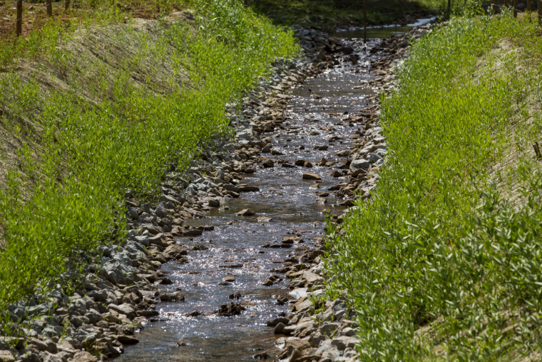 Restoration of tributaries involves gutter cleaning, revegetation and rockfill.