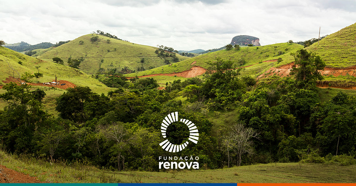 Brasil tem vantagens na economia de baixo carbono devido ao uso do solo e produção de commodities