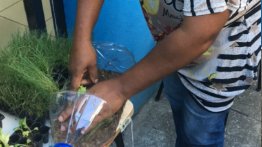 Moradores de Mariana participam de projeto piloto para a criação de hortas verticais em casa