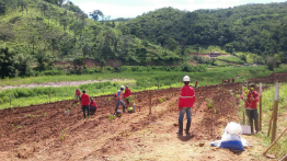 Native trees are planted in the region of the Gualaxo do Norte River