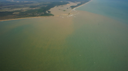 Fundação Renova divulga relatório sobre qualidade de água e sedimentos na Foz do Rio Doce e região marinha