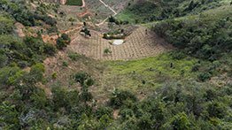 Produtores rurais com propriedades ao longo da bacia do Rio Doce poderão receber pagamento por serviços ambientais