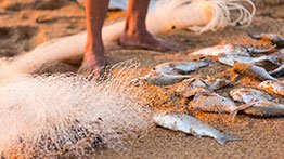 Fundação Renova fecha acordos para pagamento de indenização de pescadores