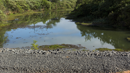 Fundação Renova abre canal para escoar água da lagoa Juparanã, em Linhares (ES)