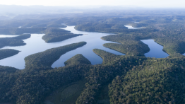 RENOVA FOUNDATION SIGNS ATLANTIC FOREST RESTORATION PACT
