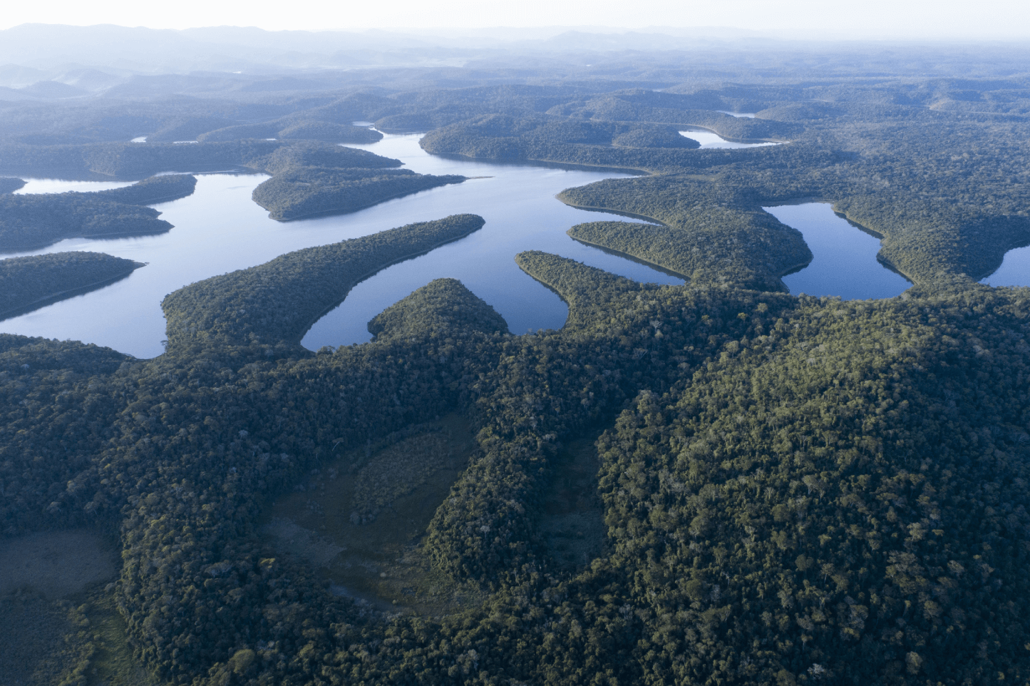 As ações compreendem cerca de 45 mil hectares ao longo da bacia do rio Doce. Foto: Nitro Imagens