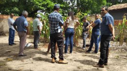 Produtores rurais de Conselheiro Pena e Galileia participam de cursos de fruticultura