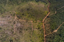 Em abril de 2018, foram definidas as diretrizes para o parcelamento do solo no terreno da Lavoura, escolhido pela comunidade.