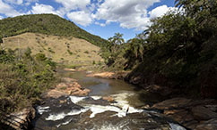 Hugo Werneck Award Recognizes River Restoration Project, Adopted By The Renova Foundation, As The Best Example In Water
