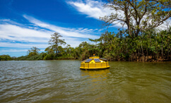Novo Portal do Monitoramento amplia o acesso à informação sobre a qualidade da água da bacia do rio Doce